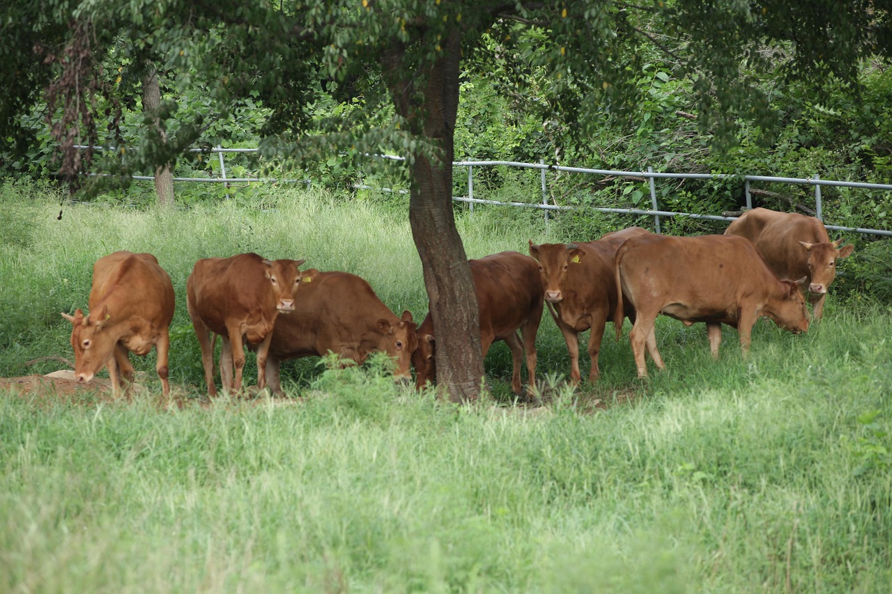 거창 개인파산 무료상담