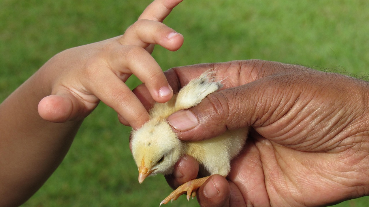 용인 개인파산 무료상담