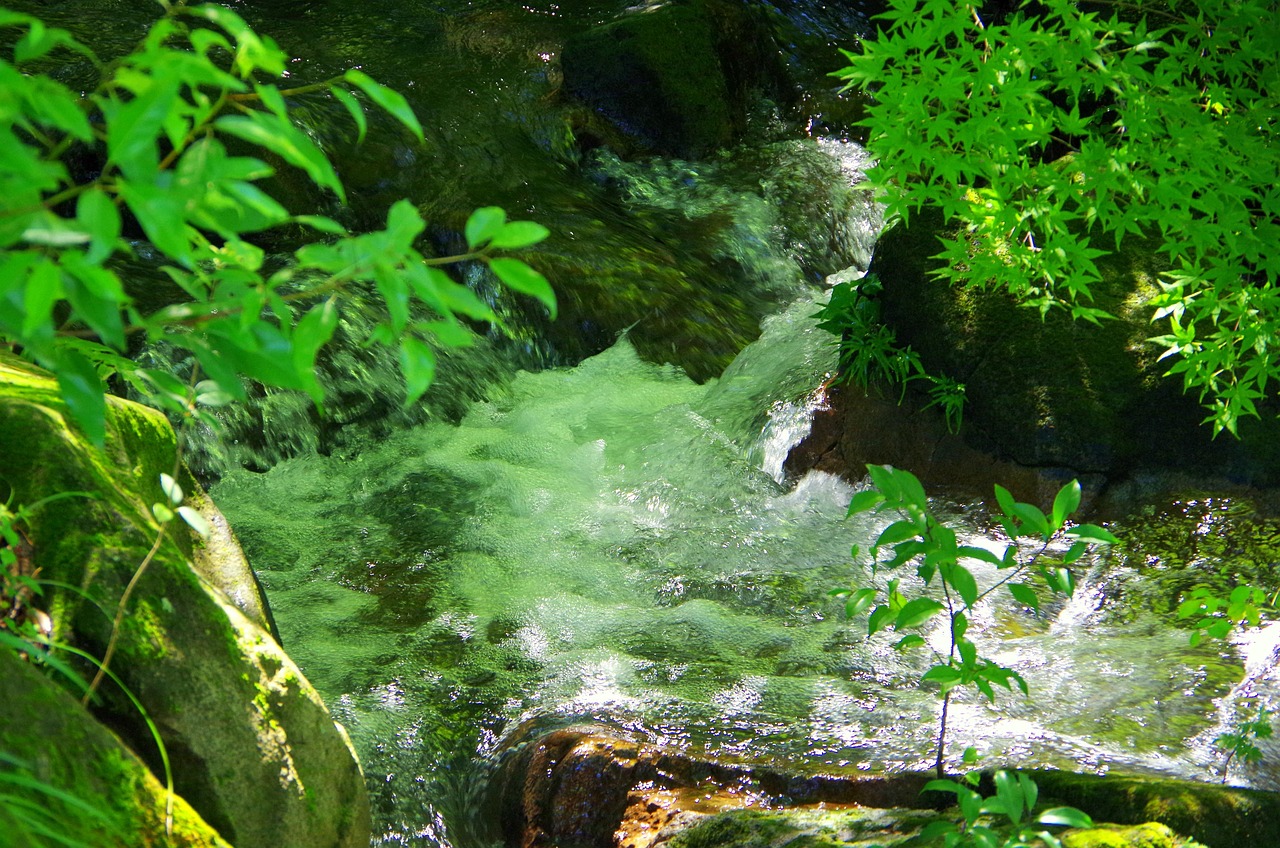 수원 장안구 개인파산 무료상담