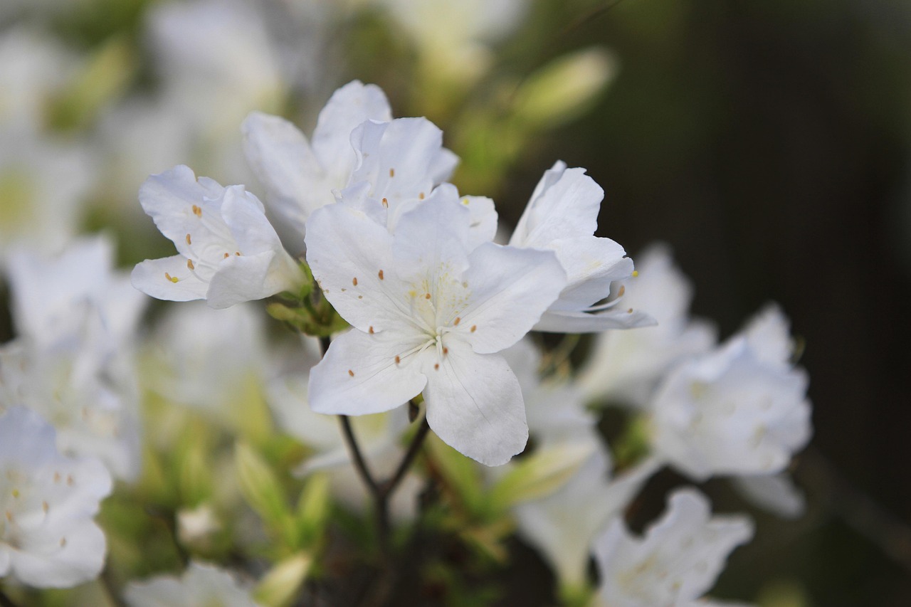포항 개인파산 무료상담