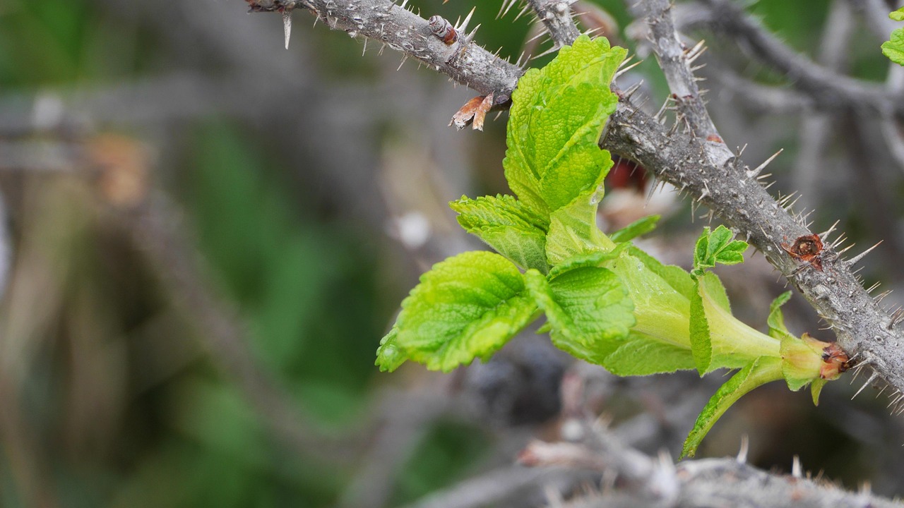 인천 동구 개인파산 무료상담