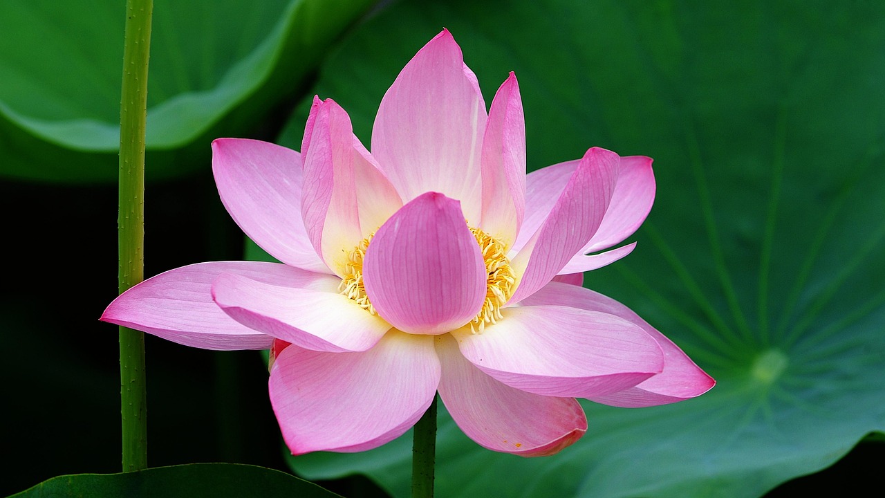 시흥 개인파산 무료상담