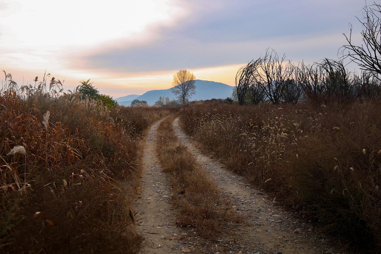 여주 개인파산 무료상담