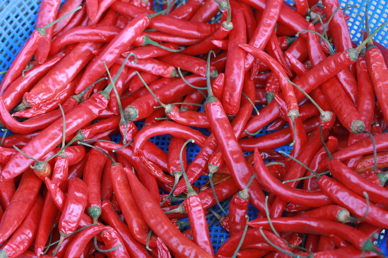 양산 개인파산 무료상담