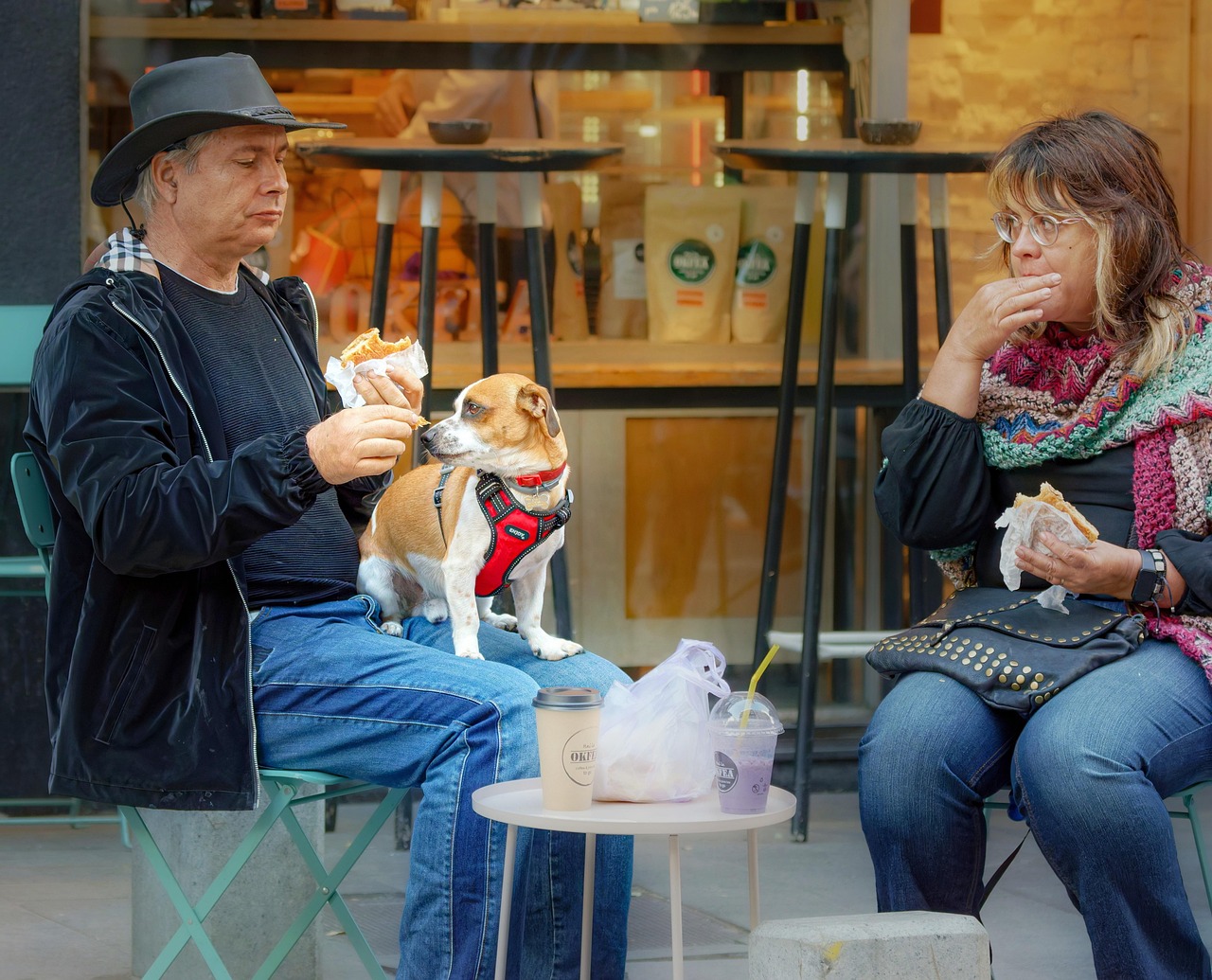 개인파산 배우자