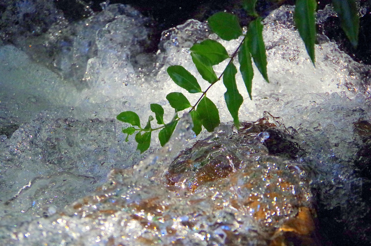 수원 팔달구 개인파산 무료상담