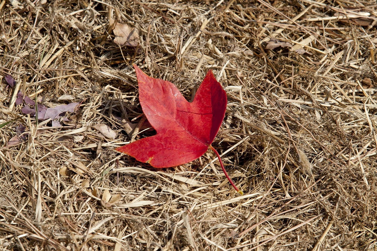 서울 용산구 청암동 개인회생 파산