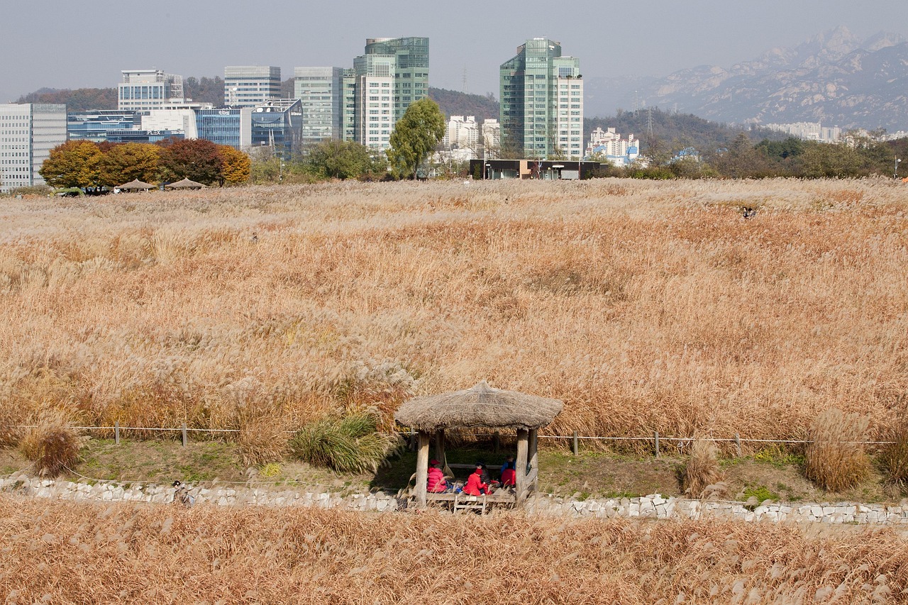 서울 성북구 종암동 개인회생 파산