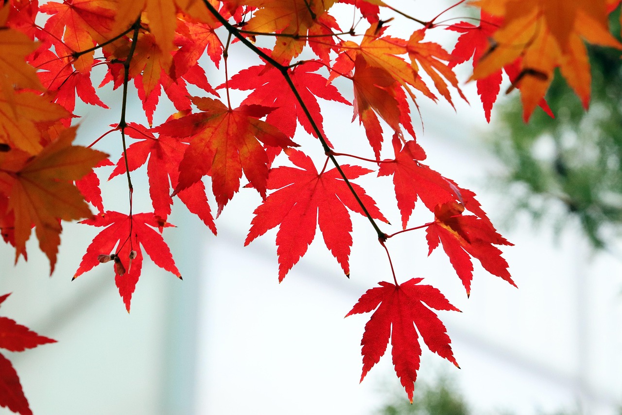 서울 도봉구 도봉동 개인회생 파산