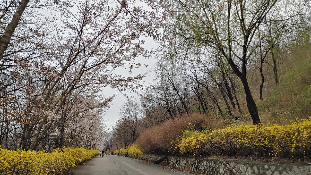 서울 영등포구 당산동 개인회생 파산