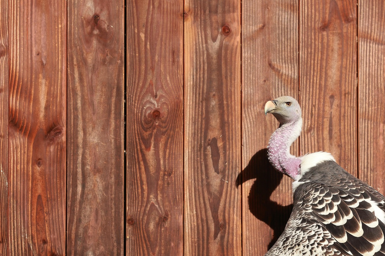 부산 동래구 수안동 개인회생 파산