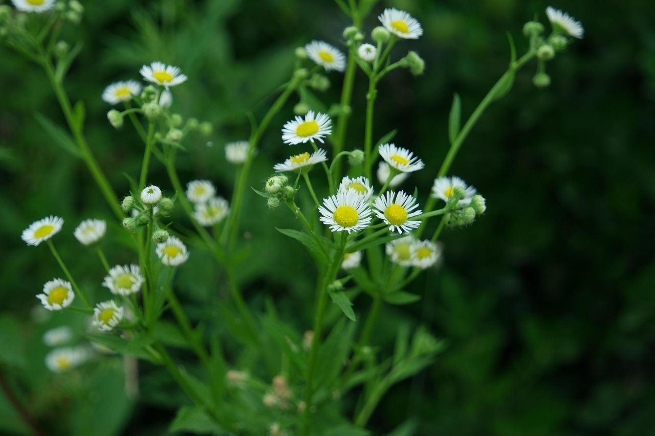 서울 종로구 교북동 개인회생 파산
