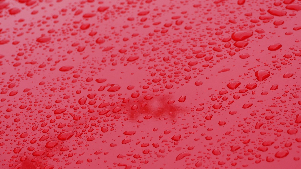 인천 동구 화수동 개인회생 파산