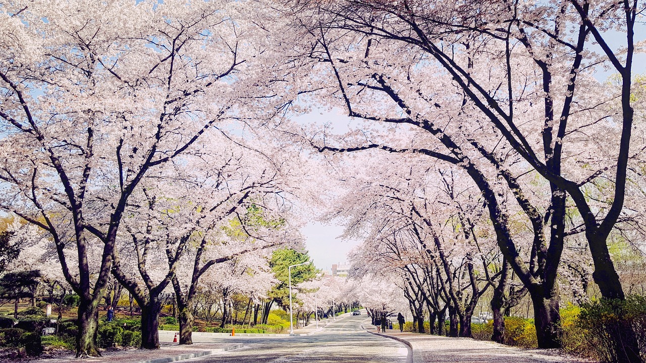 대구 중구 덕산동 개인회생 파산