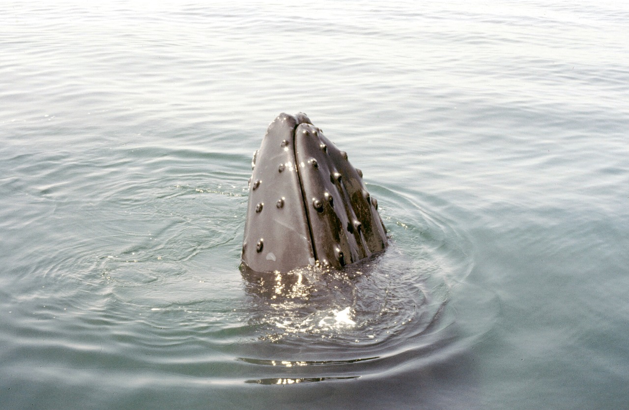 대구 중구 완전동 개인회생 파산